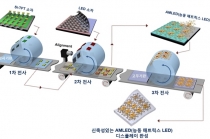 롤 전사 이용한 마이크로 LED 제조 기술 세계 최초 개발
