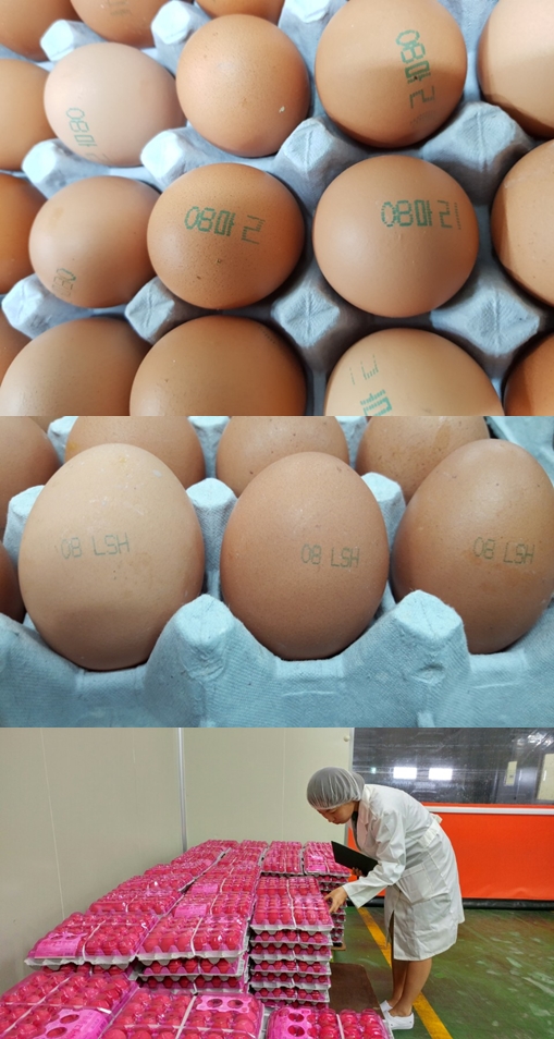 살충제 검출 계란 껍질의 숫자 ‘08’