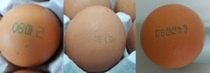 살충제 검출 계란 관련 경기도내 산란계 전체농가 안전성 검사 18농가 부적합