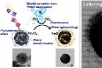 세포 속에서 빛이 나오는 산화철 광열제 개발
