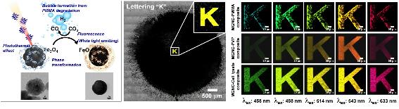세포 속에서 빛이 나오는 산화철 광열제 개발