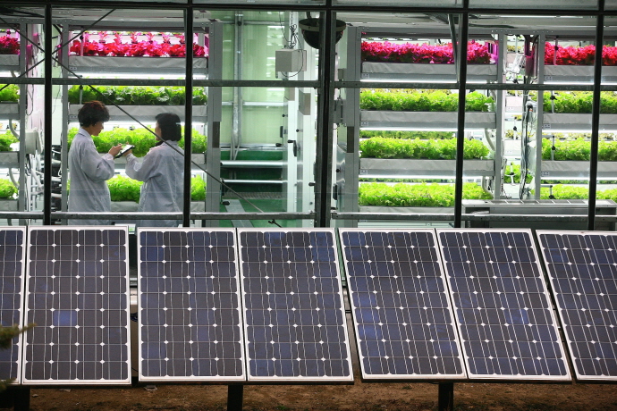 ICT 스마트팜 융복합 정보시스템 본격 운영