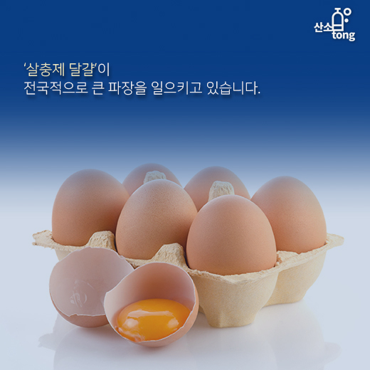 [카드뉴스] ‘살충제 달걀’로 식탁 위 비상사태