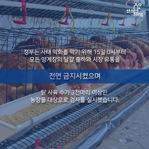 [카드뉴스] ‘살충제 달걀’로 식탁 위 비상사태