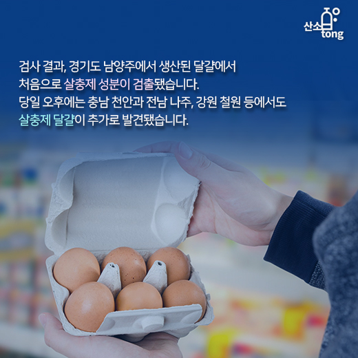[카드뉴스] ‘살충제 달걀’로 식탁 위 비상사태