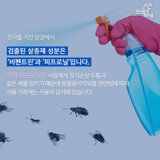 [카드뉴스] ‘살충제 달걀’로 식탁 위 비상사태