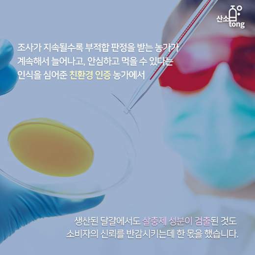 [카드뉴스] ‘살충제 달걀’로 식탁 위 비상사태