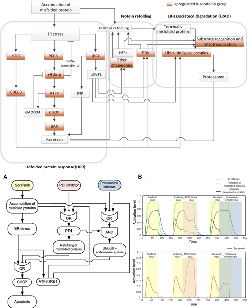 정보통신(IT)-생명공학(BT) 융합연구 통해 간암 치료효과↑ 가능성 발견
