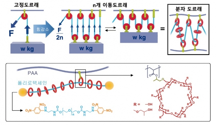 [Technical News] 분자도르래로 고용량 이차전지 수명 늘렸다
