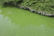 [2018 정책토의] 핵심정책으로 살펴보는 환경부의 2018