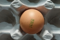 살충제 검출‘계란’회수·폐기, 난각코드 ‘15058, 14제일’