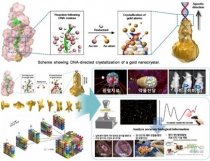 금속 나노입자, 크기·모양 제어 가능한 새로운 합성방법 제시