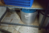 식품관련 위반업소 재범률 0.8%