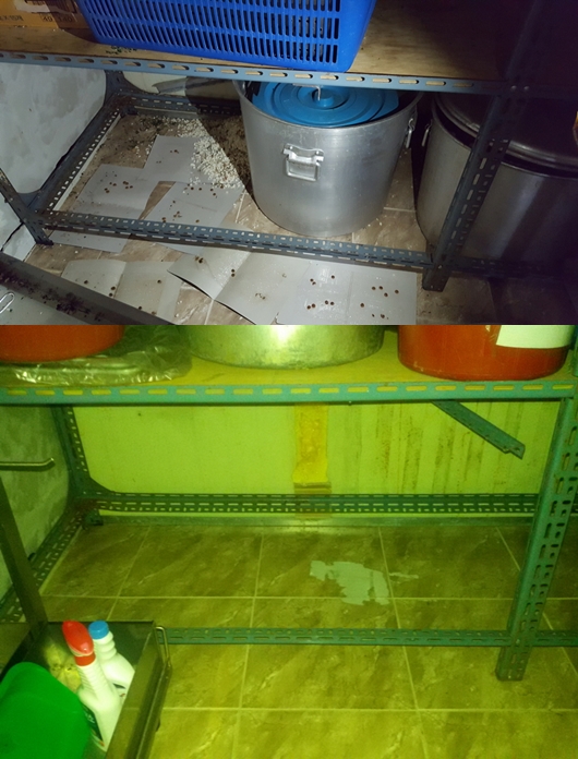 식품관련 위반업소 재범률 0.8%