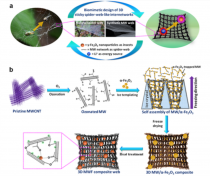 거미줄 모방 리튬이온전지 전극 소재 개발…다양한 기능성 소재에 적용 가능