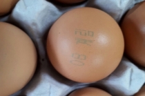 살충제 검출 ‘맑은 계란’(난각 ‘08계림’) 회수 조치