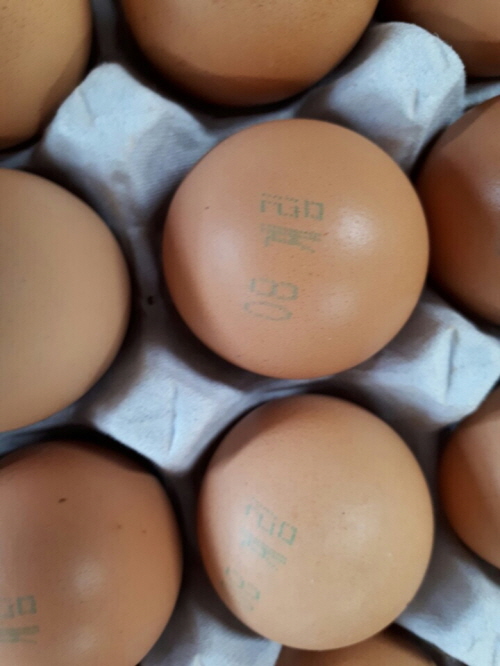 살충제 검출 ‘맑은 계란’(난각 ‘08계림’) 회수 조치