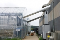 버섯재배사에서 버려지는 에너지 딸기 재배에 활용, 연중 생산