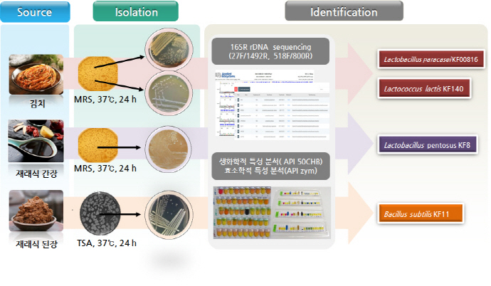 국내 연구팀, 프로바이오틱스 발굴 및 소재화 기술개발