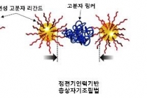 슈퍼 커패시터 소자, 전통 한지 이용해 개발 성공