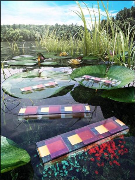 사막에서도 광합성 가능한 ‘인공 잎’개발