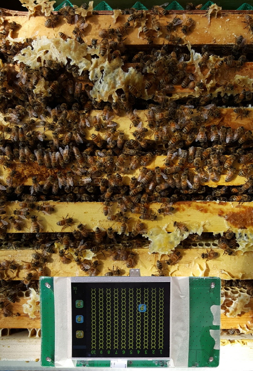 여왕벌 위치 파악도 첨단 ICT기술과 인공지능 활용