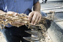 바스프, 바이엘 종자 및 비선택성 제초제 사업 인수