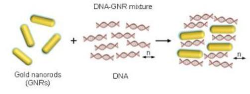 센티미터 수준에서 금 나노막대 배향 제어 한다