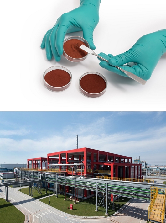 랑세스, 친환경 ‘닝보 프로세스’ 적용한 신규 베이페록스 안료 개발