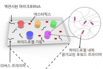 하이드로젤 기반 다중유전자로 조기에 치매 예방한다