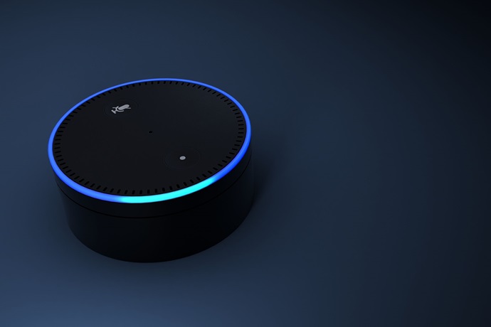 아마존 알렉사(Amazon alexa), 타 유통업체와 합종연횡 노리나
