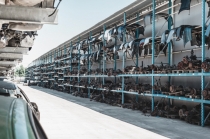 벨라루스 자동차부품 시장, 경기회복되면서 기지개