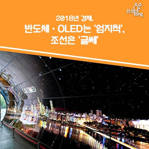 [카드뉴스] 2018년 경제, 반도체·OLED는 ‘엄지척’, 조선은 ‘글쎄’