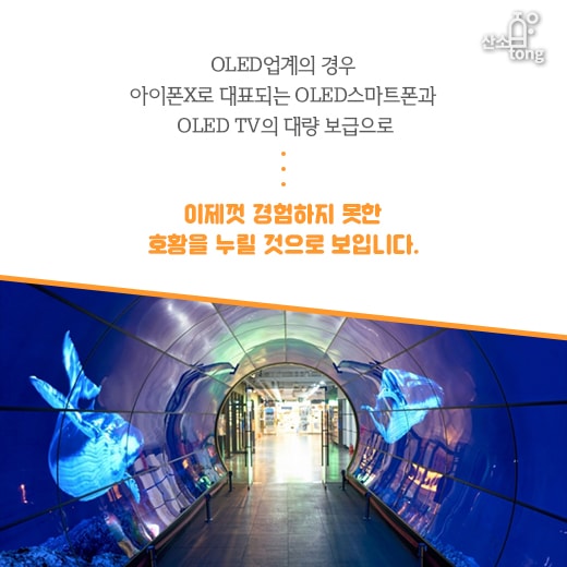 [카드뉴스] 2018년 경제, 반도체·OLED는 ‘엄지척’, 조선은 ‘글쎄’