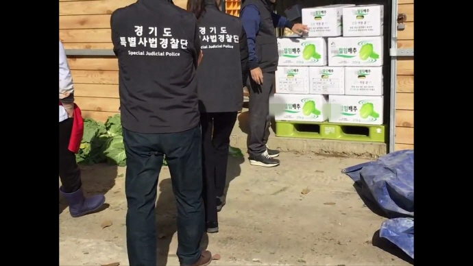 잔류농약 등 기준 초과한 김장 재료 7천176kg 압류 폐기