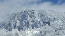 [포토] '대설주의보' 제주 한라산 윗세오름 온 천지가 새하얀 눈꽃