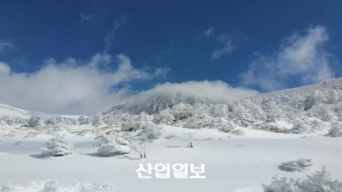 [포토] '대설주의보' 제주 한라산 윗세오름 온 천지가 새하얀 눈꽃