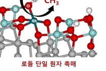 단일 원자 촉매로 메탄 직접 전환 가능해져