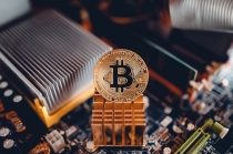 비트코인 광풍에 업비트·빗썸 함께 웃는다