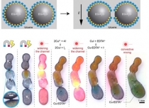 [TECH] 나노 계면활성제 발명…제약·의학 분야 폭넓은 응용 기대