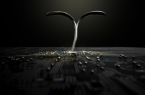 고속 성장 중인 중국 인공지능(AI), 인기 직종 떠올라