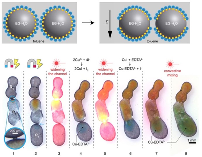 [TECH] 나노 계면활성제 발명…제약·의학 분야 폭넓은 응용 기대