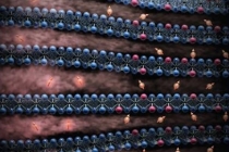 새로운 소재, 전자화물의 자성 극대화 원리 규명