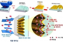 메탄올 연료전지 핵심부품 개발