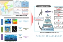 바다 생태계 변화에도 인공지능 활용해 예측