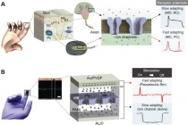 전원없이 작동하는 초정밀 인공피부센서 개발