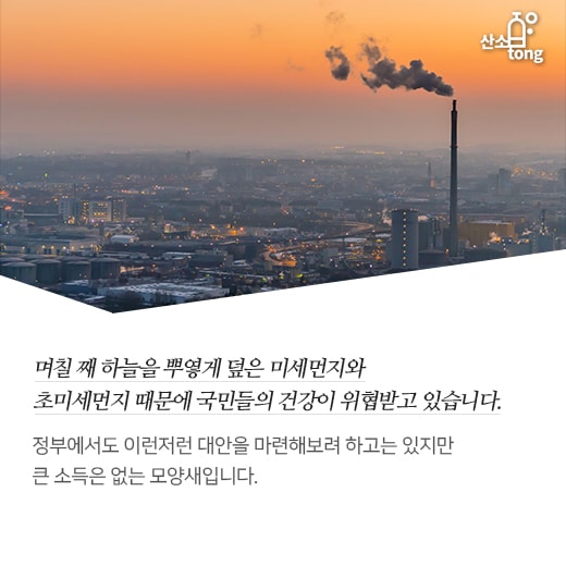 [카드뉴스] 하늘 뒤덮은 초미세먼지, 중국산 맞았다