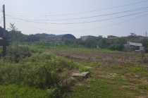 ‘개발제한구역의 지정 및 관리에 관한 특별조치법 ’개정안 국무회의 통과