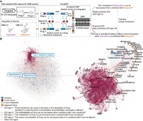 4차 산업혁명 핵심 기술 중 하나 '정밀의료 기술'