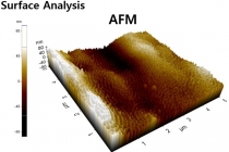 임플란트용 전기화학 나노 표면처리 기술 개발